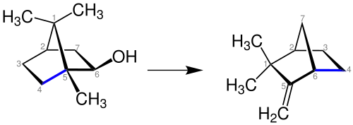 Übersichtsreaktion der Synthese von Camphenen aus Isoborneol