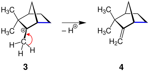 Mechanismus der Dehydratisierung von Isoborneol (Teil 2)
