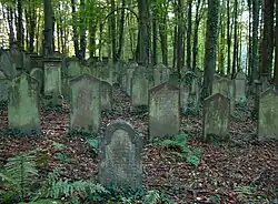 Der jüdische Friedhof in Waibstadt