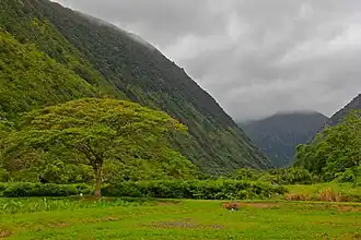 Blick auf das innere Waipiʻo Valley.