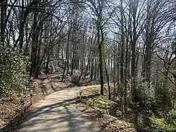 Wald nördl. Schneppensiefen