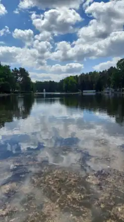 Blick auf den See im Waldbad Weixdorf