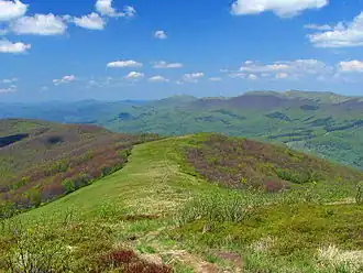 Fußweg auf der karpatischen Wasserscheide zwischen Uschok-Pass und Bieszczady