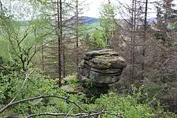 Trotz abgestorbener Fichten ist Schönheide kaum zu erahnen