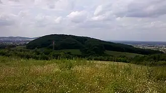 Westlicher Blick über die Wallücke auf den Elfter Kopf.
