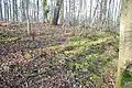 Wallreste der frühmittelalterlichen Wallburg