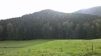 Wallenburger Kogel von Süden