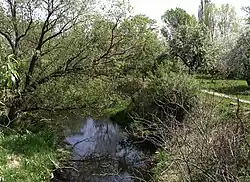 Luppe bei Wallendorf