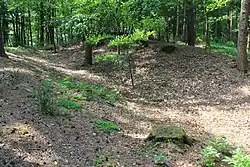 Parallel verlaufende Wall-Graben-Reste im Gipfelbereich des Külmitz
