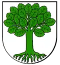 Wappen von Hengen