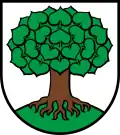 Linde (Linn CH, mit markanten „Linden-“blättern)