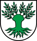 Weide (als Kopfweide) (Widen CH, redend)