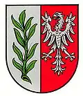Altes Wappen von Saalstadt