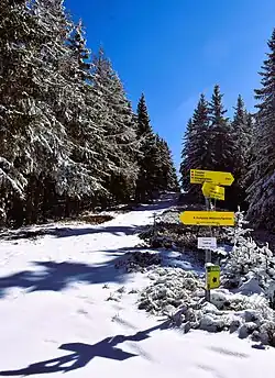 Wegekreuz am Wapplersattel, im Bild der Weg auf das Roßeck