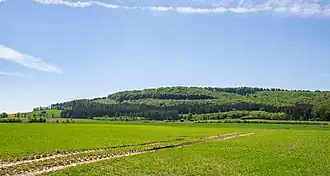 Gaulskopf aus Richtung Osten