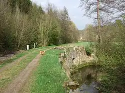Döhlauer Graben (links) und Warme Steinach nahe Döhlau