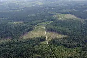 Der Rennweg im Heve-Möhne-Wald.