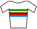 Weltmeistertrikot
