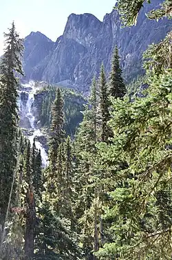 Wedgemount Falls vom Pfad zum Wedgemount Lake aus gesehen