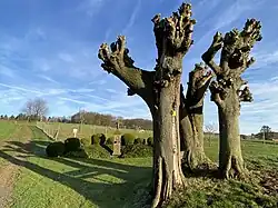 Wegekreuz an Feldwegwegekreuzung östl. Haus Nr. 23