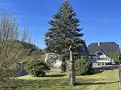 Baudenkmal Wegekreuz Weier