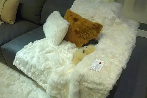 Kissen und Plaid (2020)