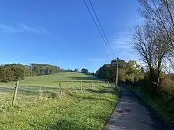 Weiden „Unterm Meißwinkel“ am Weg von Hauserhof nach Meiswinkel