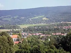 Weidenberg vor der Kulisse der Königsheide