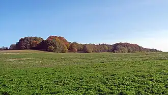 Blick zur Weifaer Höhe (2020)