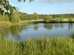 Fischweiher am Lohbach