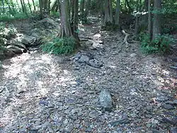 Trockengefallene Weil