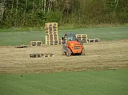 Standard-Grassoden werden auf Transportpaletten verladen