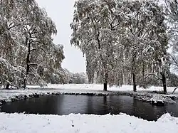 Wentorfer Lohe im Winter