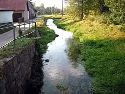 Die Wesenitz bei Neukirch/Lausitz