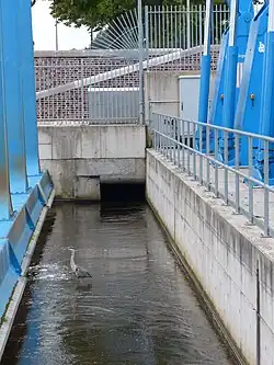 Reiher, regelmäßiger Gast auf dem Rand des Feinrechens, hinten der Ablauf für treibguthaltiges Wasser