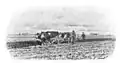 Ochsen als Zugtiere für den Pflug bei Wesselburen/​Deutschland (Zeichnung von Julius Fürst, um 1895)