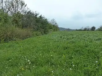 Westliche Innenseite des Ringwalls