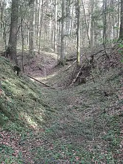 Bild 2: Westlicher Teil des Halsgrabens, links Anstieg zum Vorburggelände