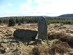 Steinkreis von Tillyfourie