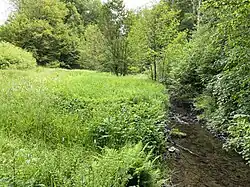 Mosaik aus Feuchtwiesen / Wald-/Auwaldflächen