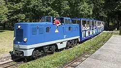 Diesellok D1 „Bernhard“