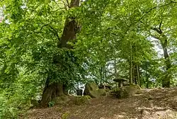 Germanische Kultstätte Beedenkirchen (Naturdenkmal).