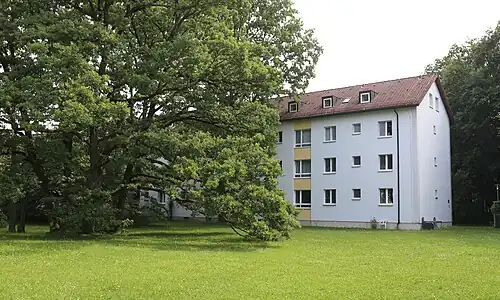 Wiesenfläche und Baumgruppe an einem Wohnblock