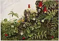 Wild Flowers No. 1, Farblithografie, Boston Public Library, 1880/90er Jahre