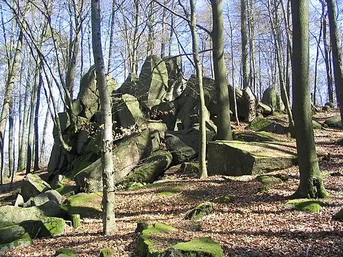 Die Flasergranitoid-Felsgruppe Wildfrauhaus ist nach einer sagenhaften Heilkräuterfrau benannt, die inmitten der Natur auf dem Streiterberg-Altscheuer-Bergzug im Fischbachtal hauste.
