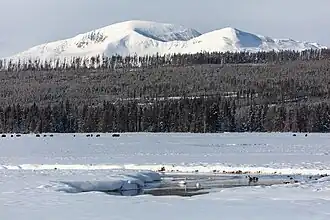 Gibbon River vor dem Mount Holmes