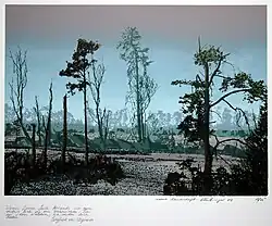 saure Landschaft, Siebdruck (19 Farben), 1983 (mit Zitat von Siegfried von Vegesack: Wenn deine Seele krank ist, dann verbirg dich wie ein verwundetes Tier in den Wäldern, sie werden Dich heilen)