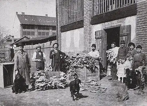 Willi Weiss (1862–1915) bei der Lammfell-Übernahme