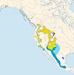 Verbreitungsgebiet des Kiefernsaftleckers; gelb: mehrheitlich Zugvögel, grüngelb: meist Jahresvögel, blau: Hauptüberwinterungsgebiete, hellblau: gelegentliche Überwinterer und Zieher