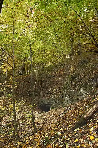 Portal des Willmandinger Bröllers